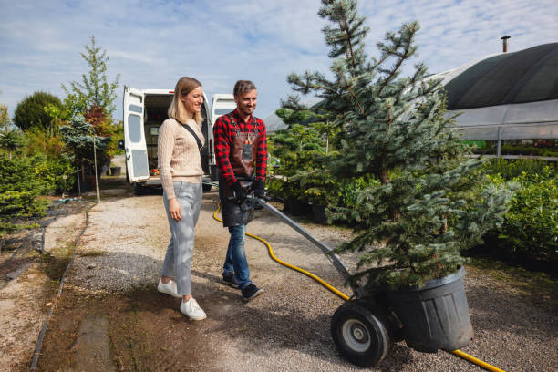 Best Tree Preservation Services  in Fox Point, WI